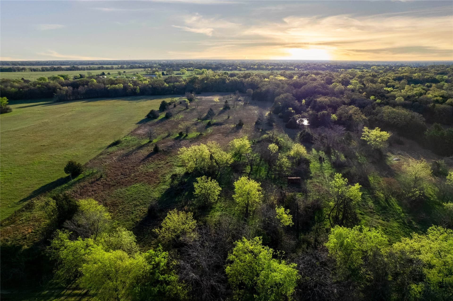 15.53 acres in Hopkins County - photo 4