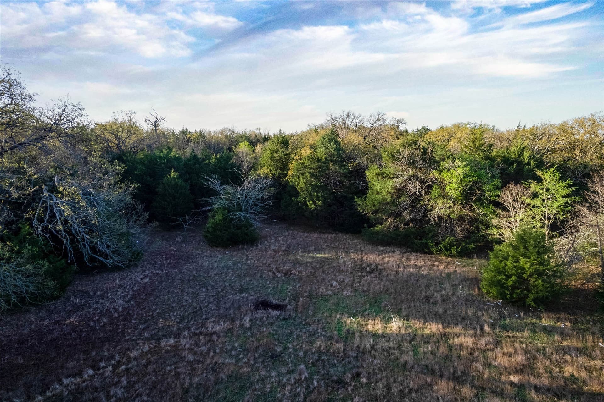 15.53 acres in Hopkins County - photo 6