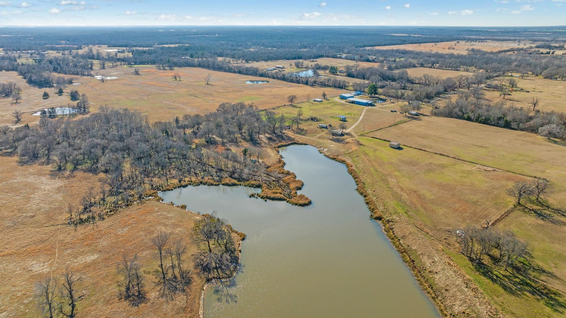 23.07 acres in Lamar County gallery image 4