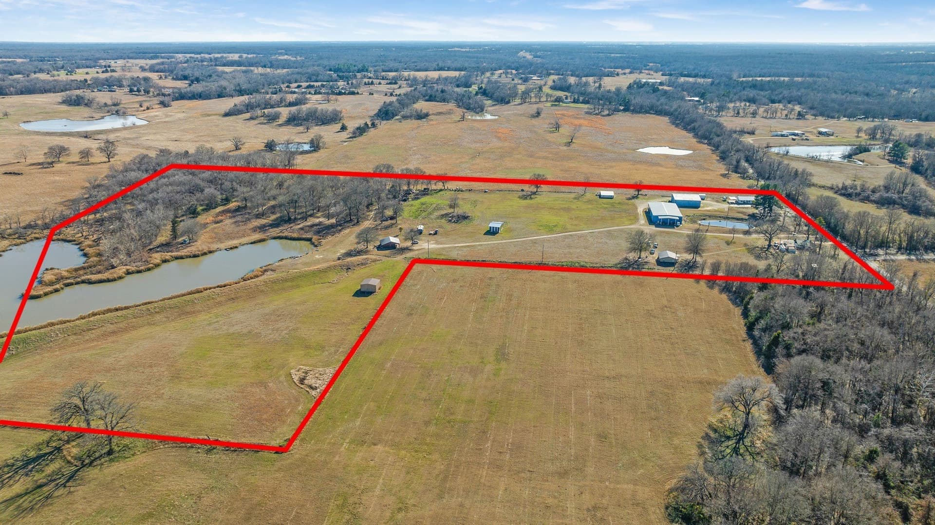 23.07 acres in Lamar County gallery image 3