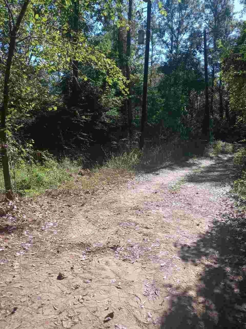 3 acres in Montgomery County - photo 4