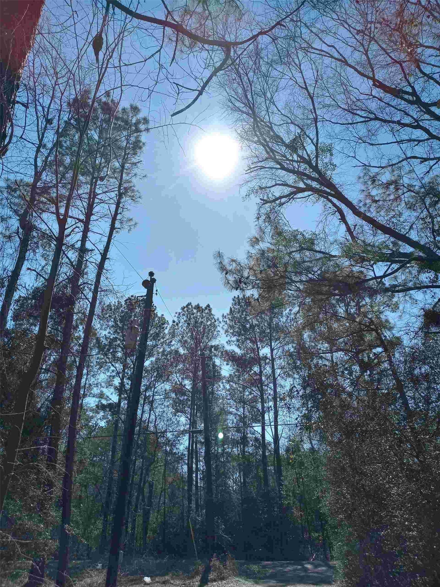 3 acres in Montgomery County - photo 6