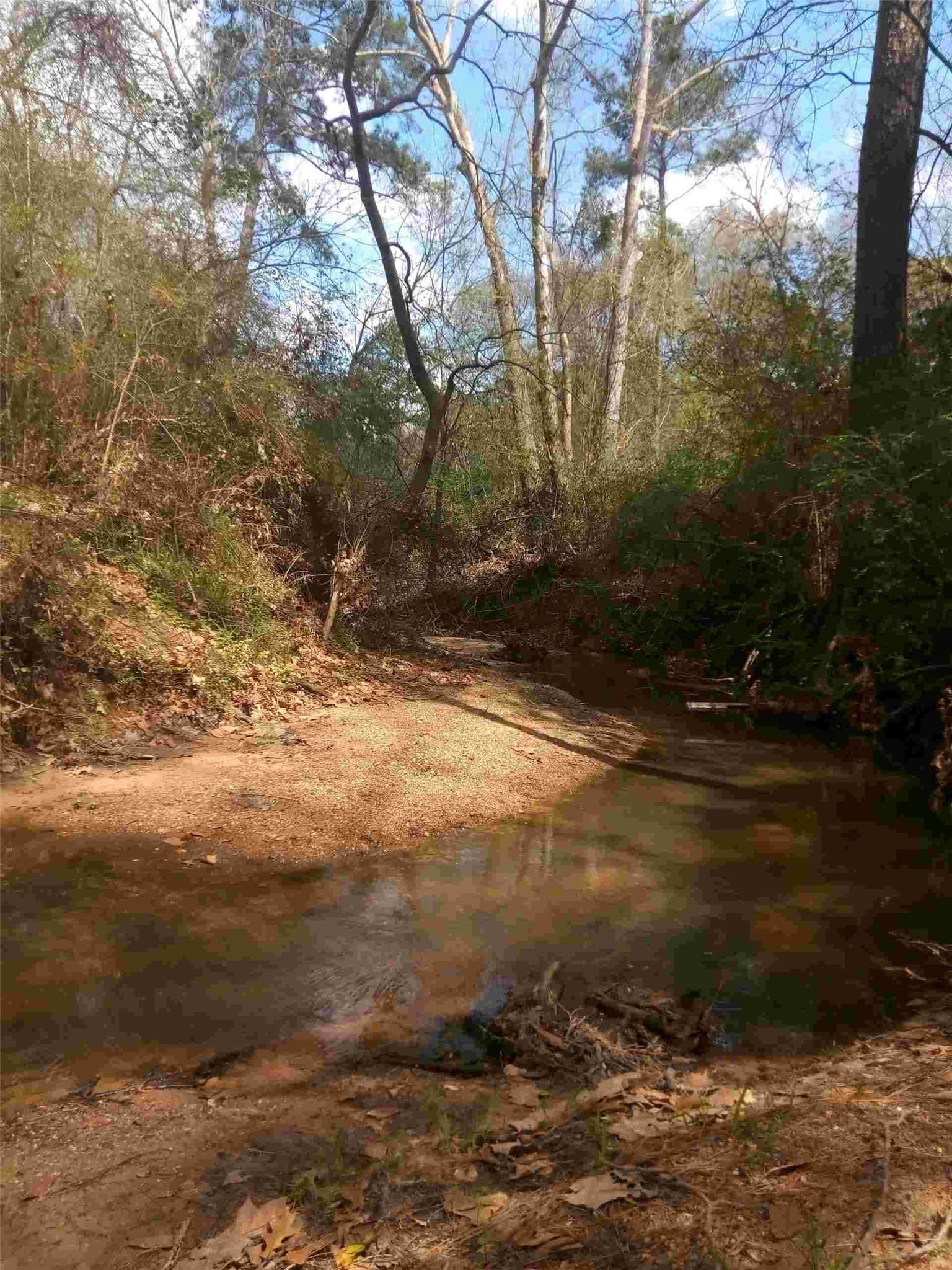 3 acres in Montgomery County - photo 10
