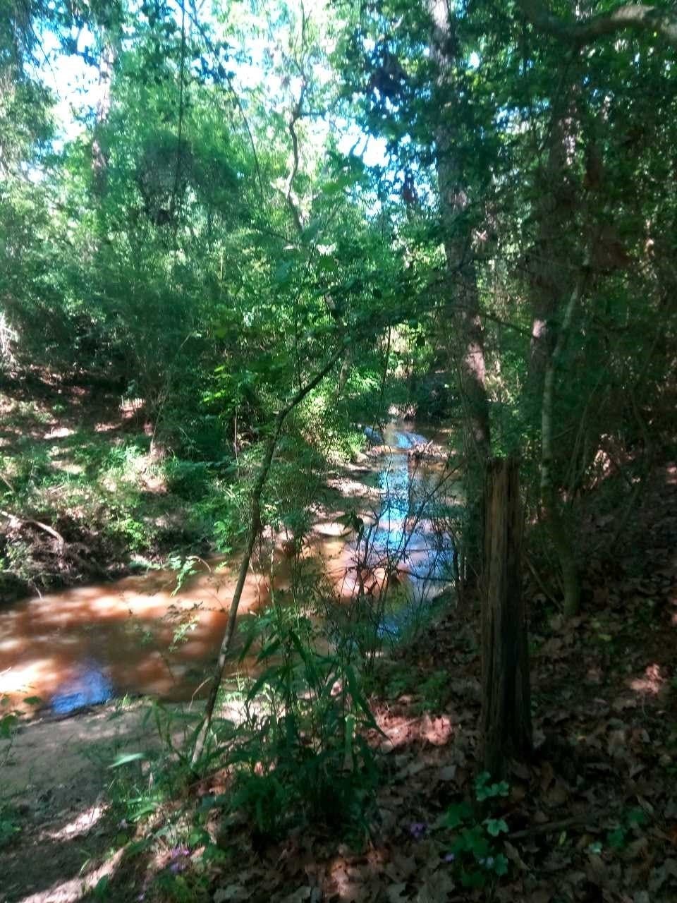 3 acres in Montgomery County - photo 2