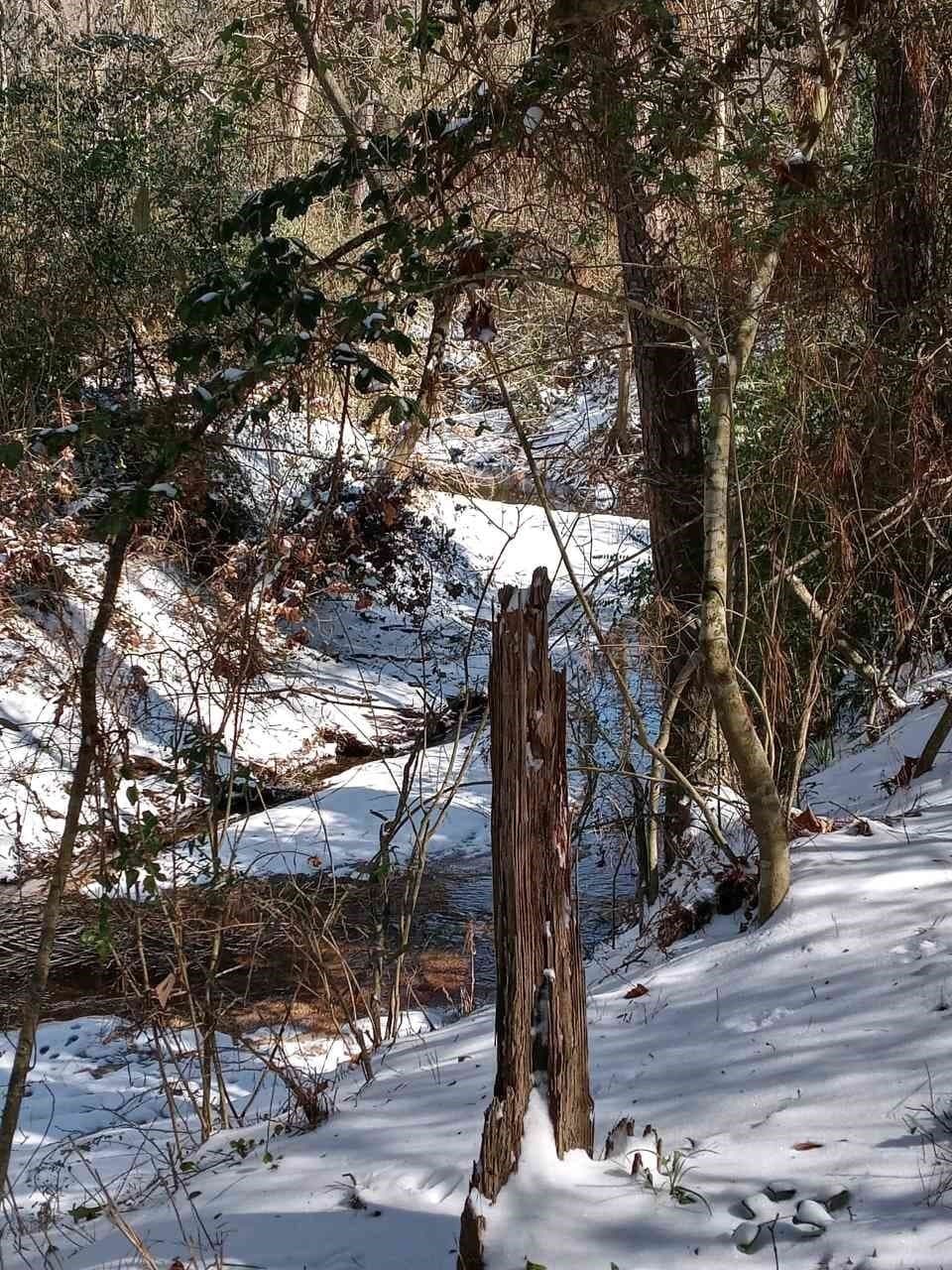 3 acres in Montgomery County - photo 9