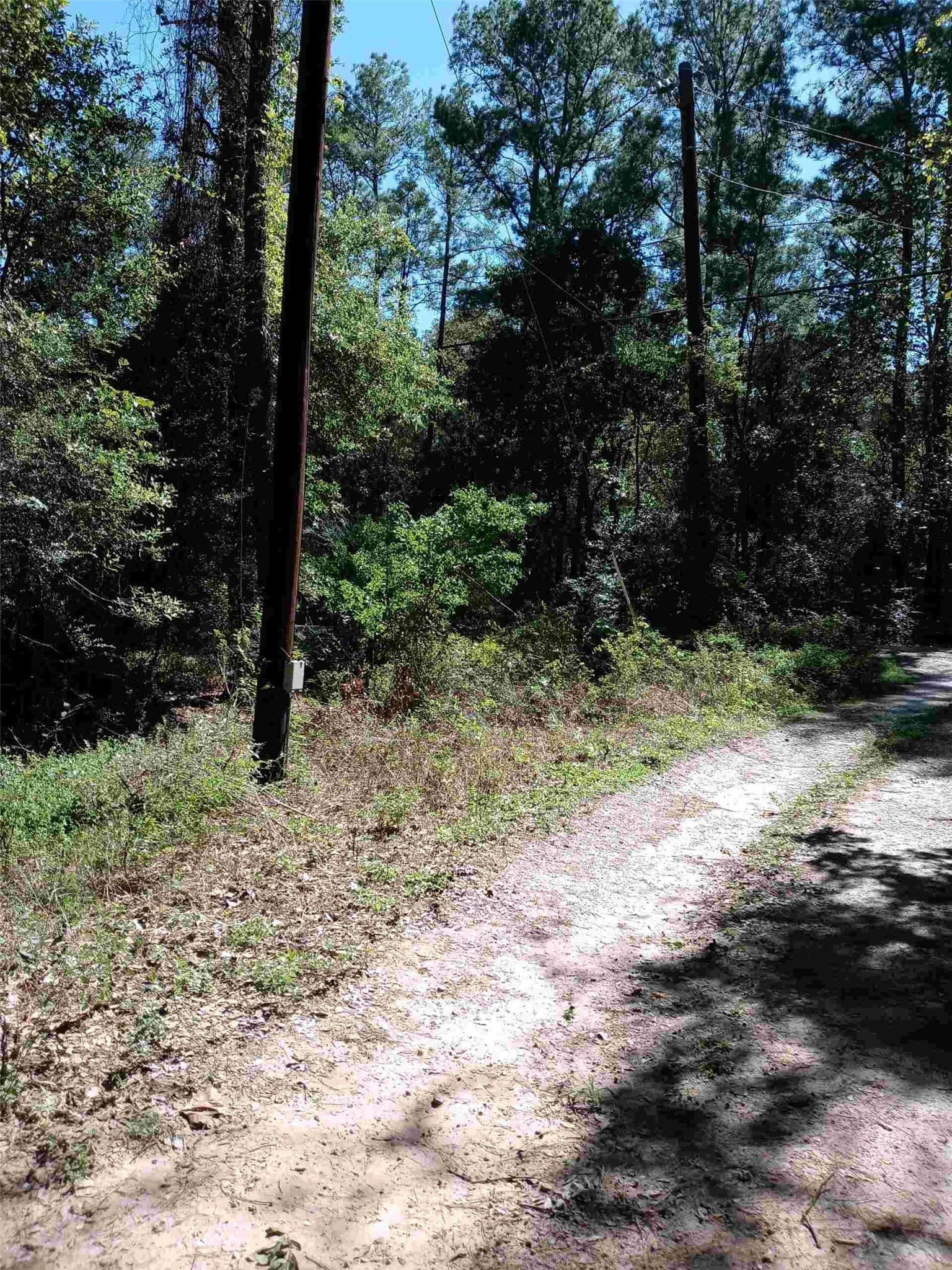 3 acres in Montgomery County - photo 7
