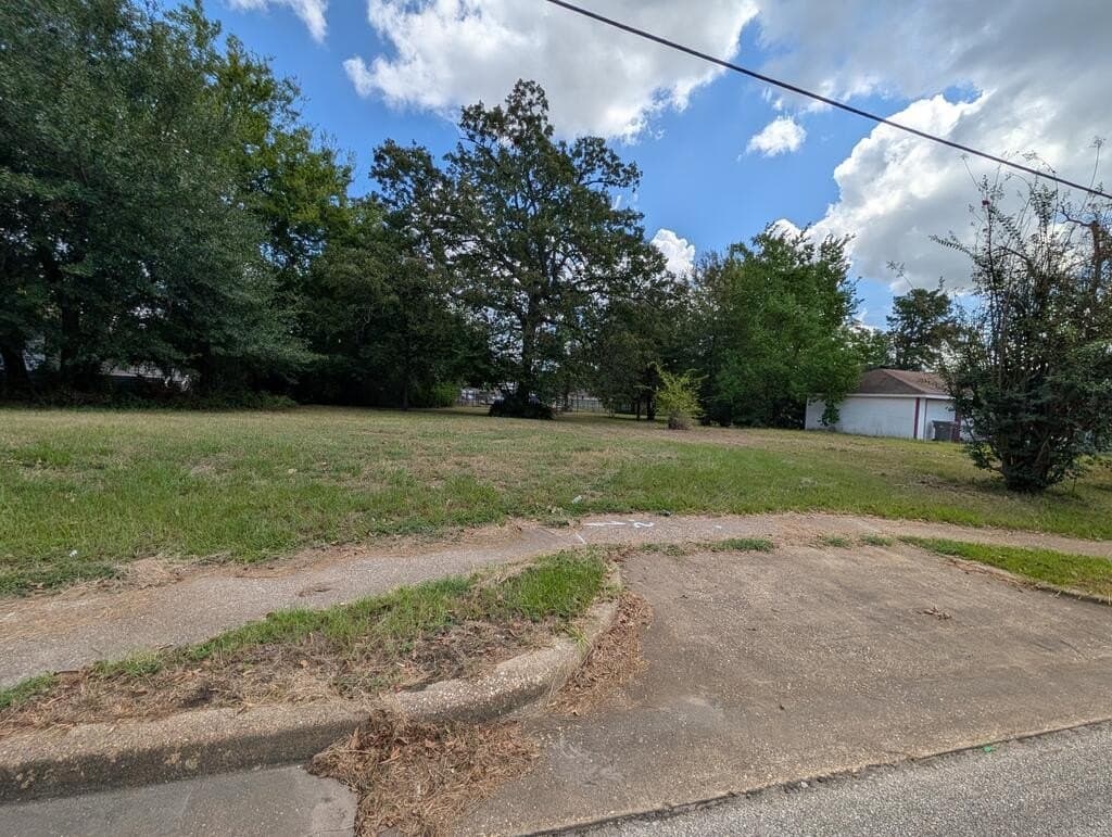 0.16 acres in Texas County - photo 3