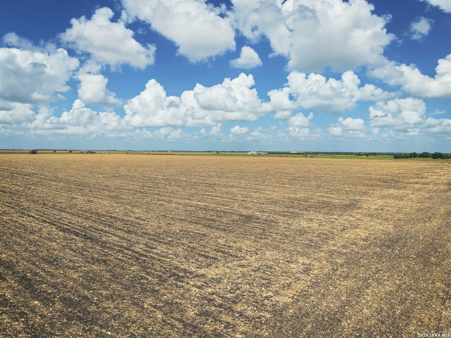 118.83 acres in Victoria County - photo 20