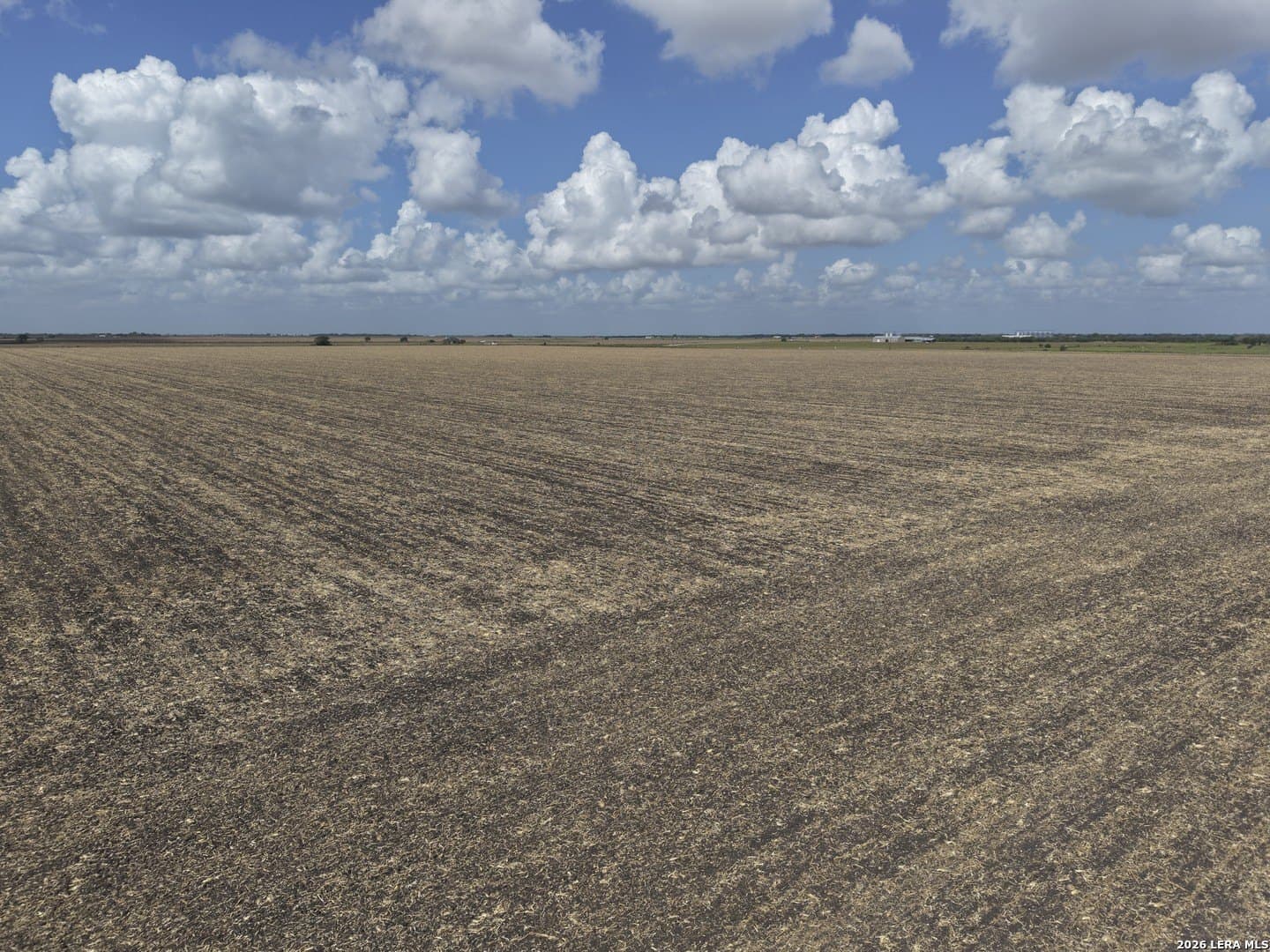 118.83 acres in Victoria County - photo 19