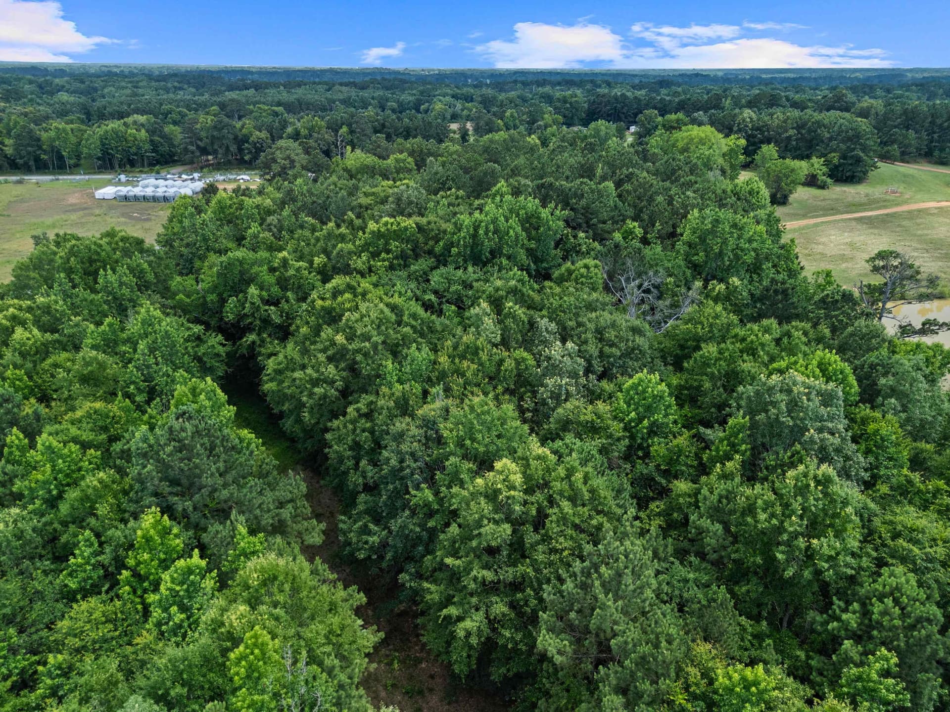 10 acres in Gregg County - photo 11