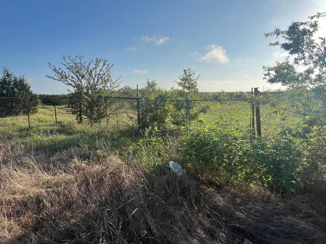 4.35 acres in Hill County - photo 7