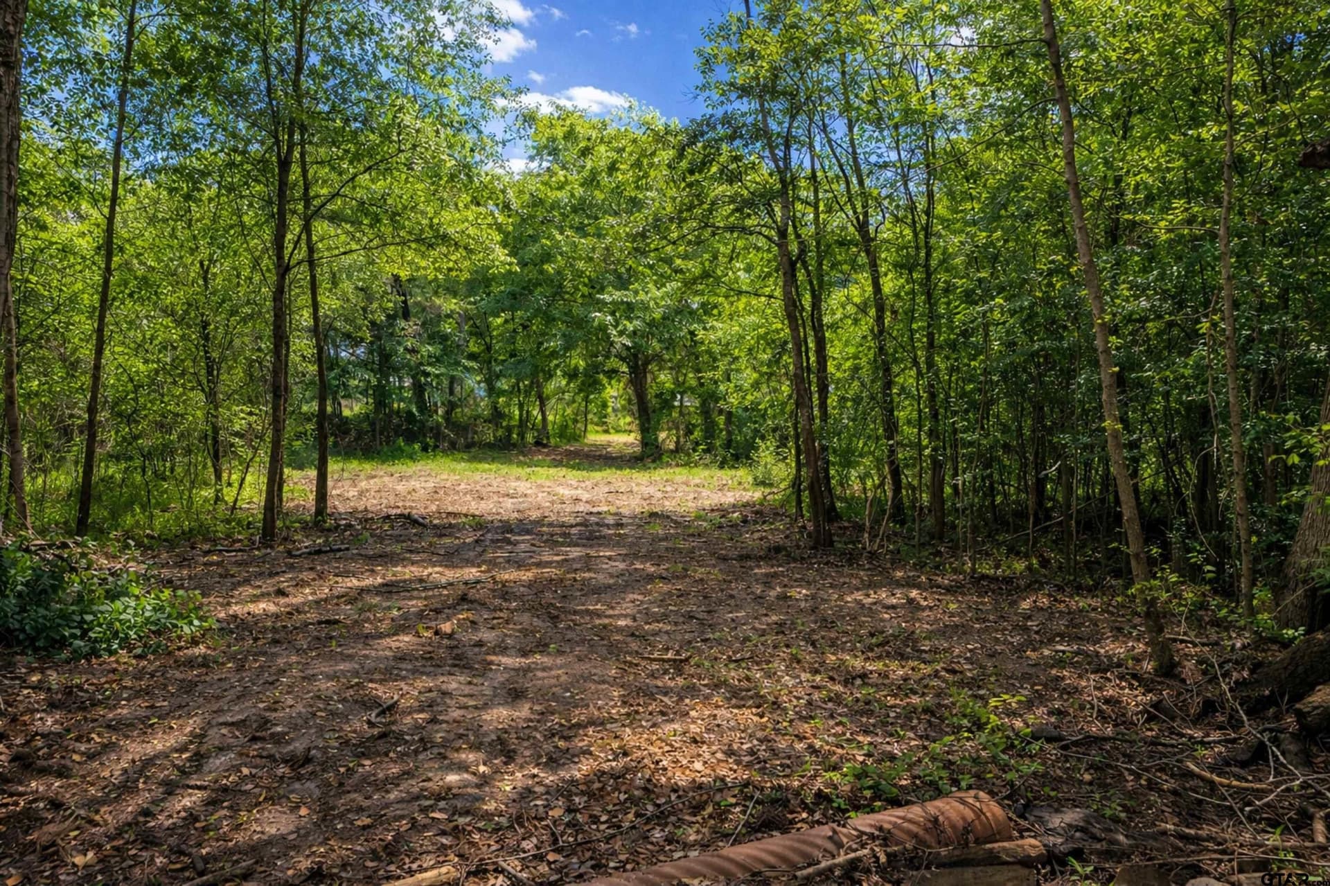 53.99 acres in Smith County featured view