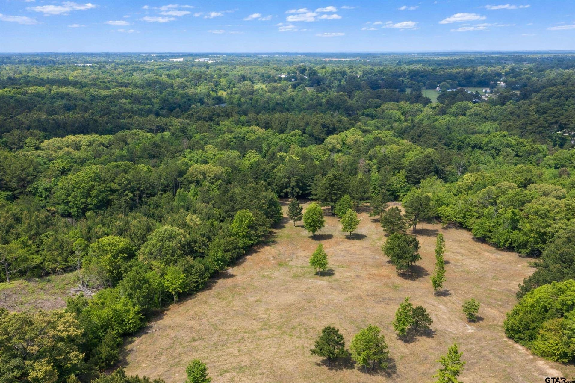 53.99 acres in Smith County gallery image 2