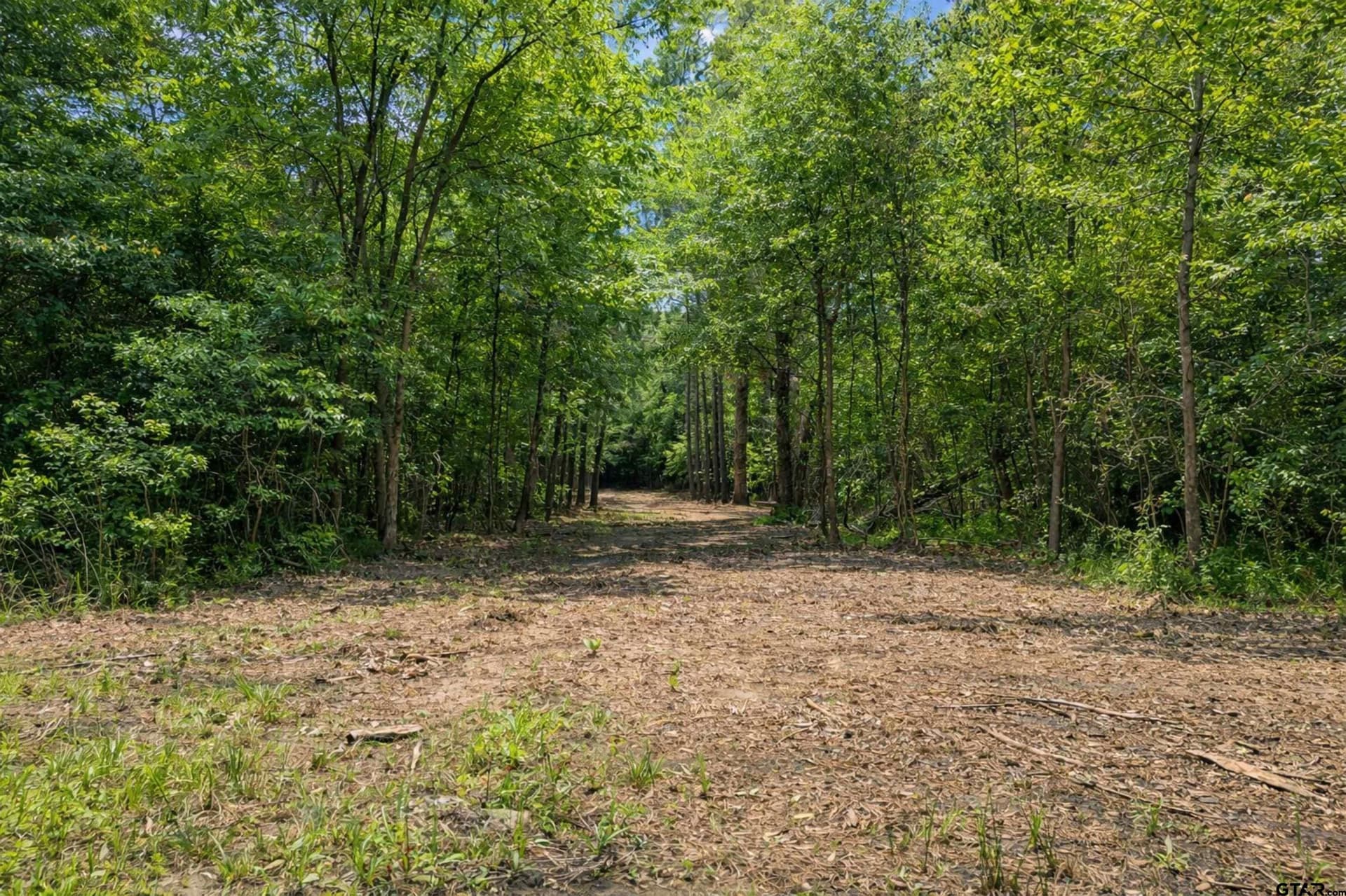 53.99 acres in Smith County gallery image 3