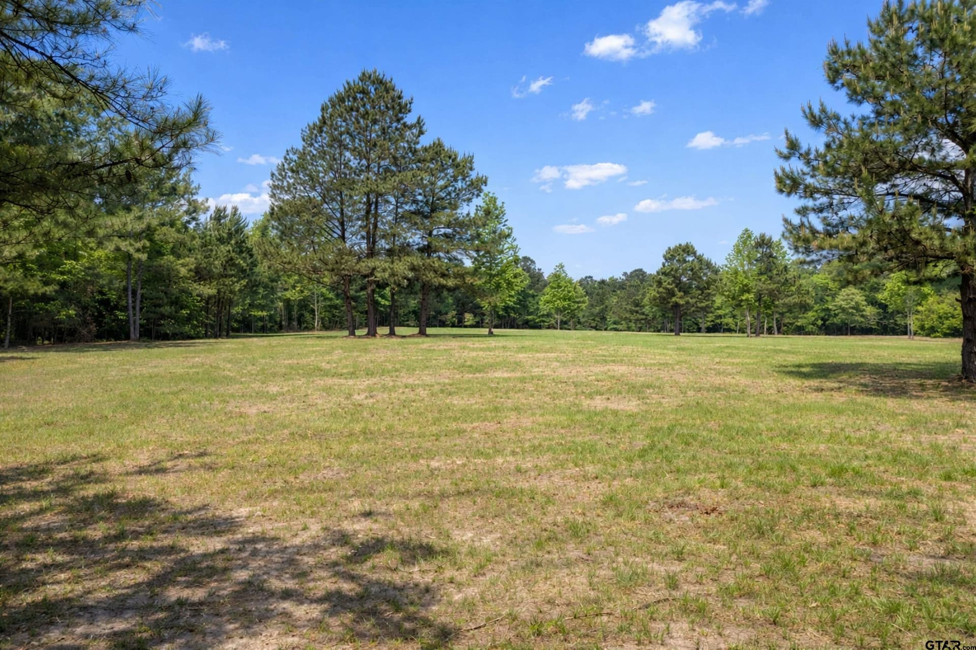 53.99 acres in Smith County