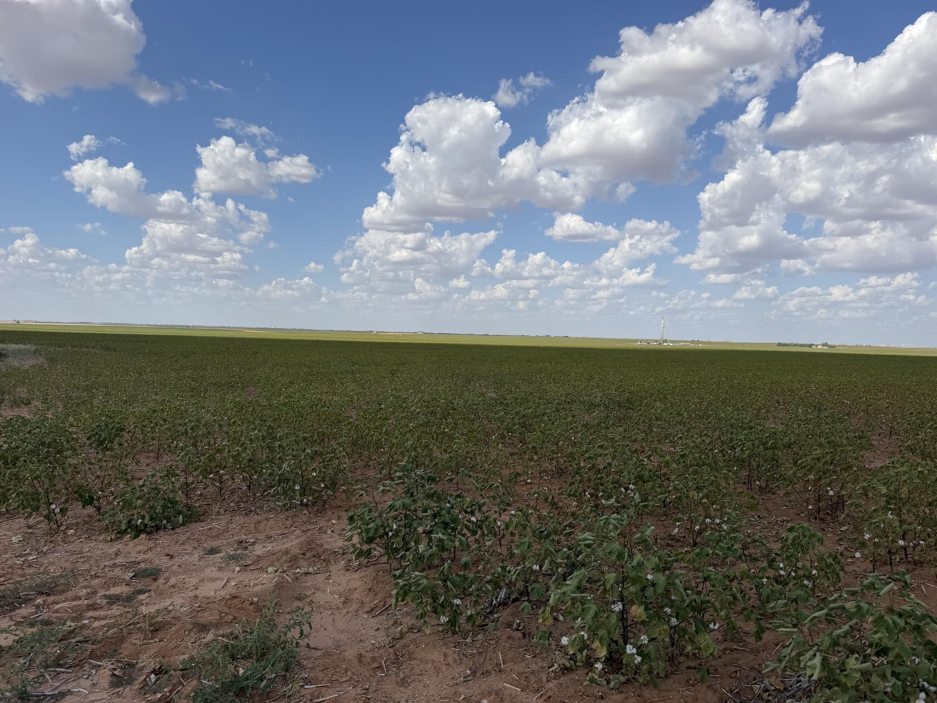 160 acres in Dawson County