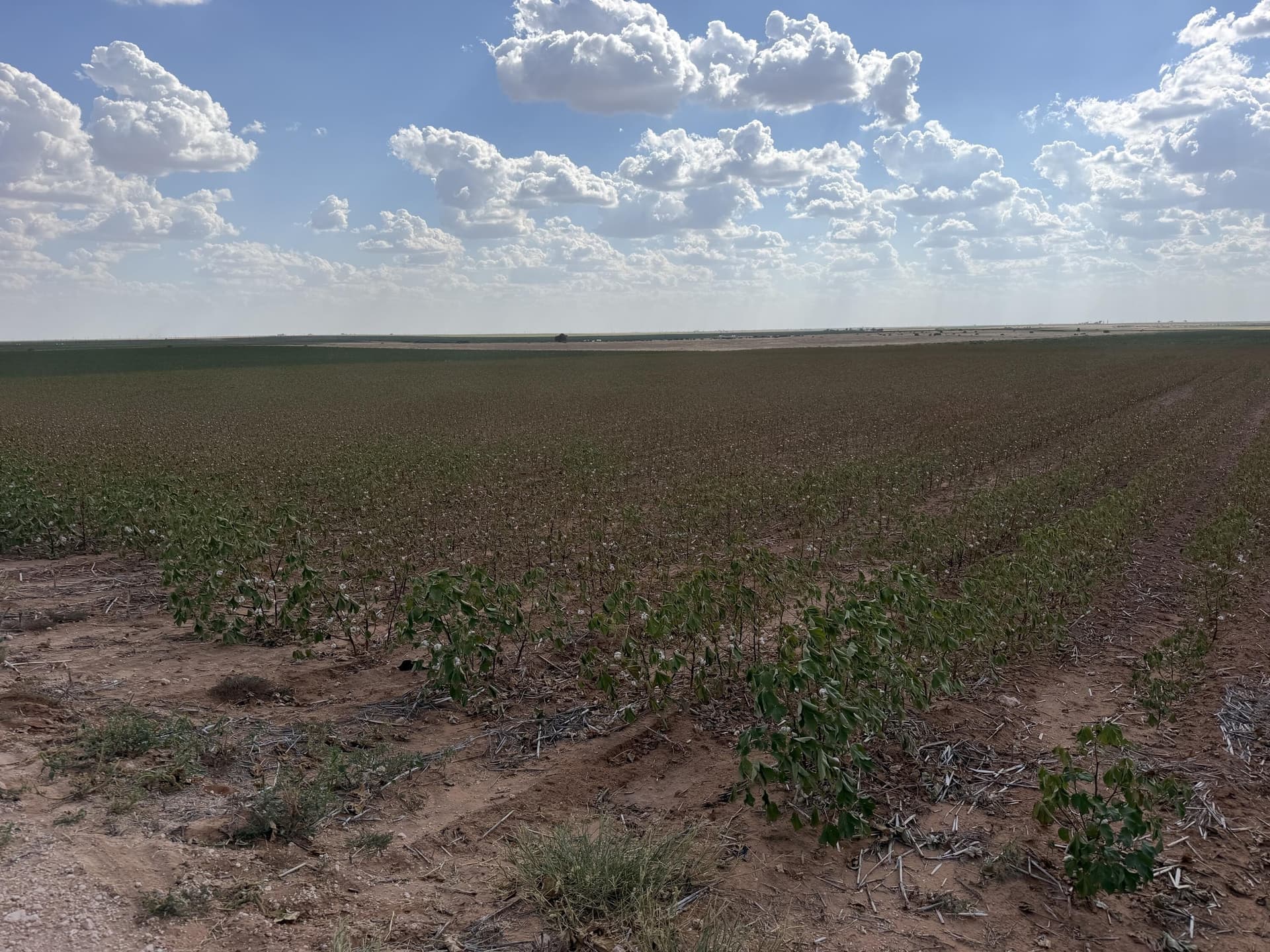 160 acres in Dawson County - photo 4