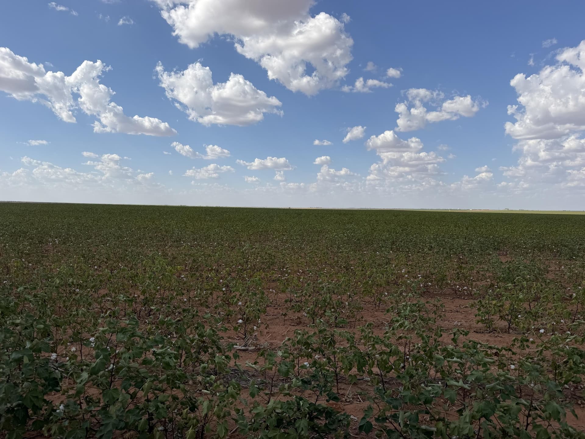 160 acres in Dawson County - photo 2