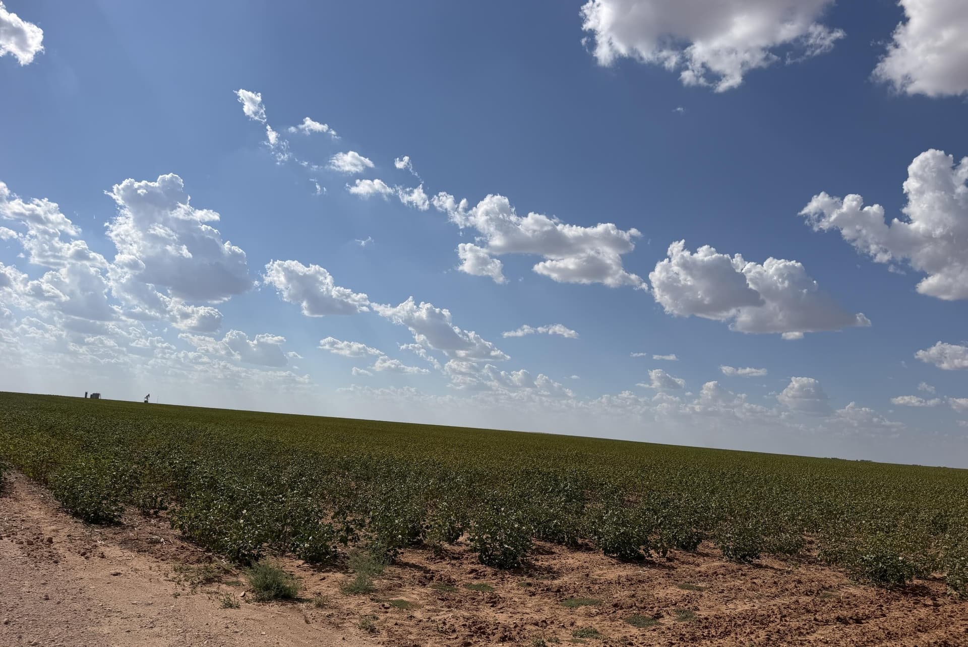 160 acres in Dawson County - photo 5