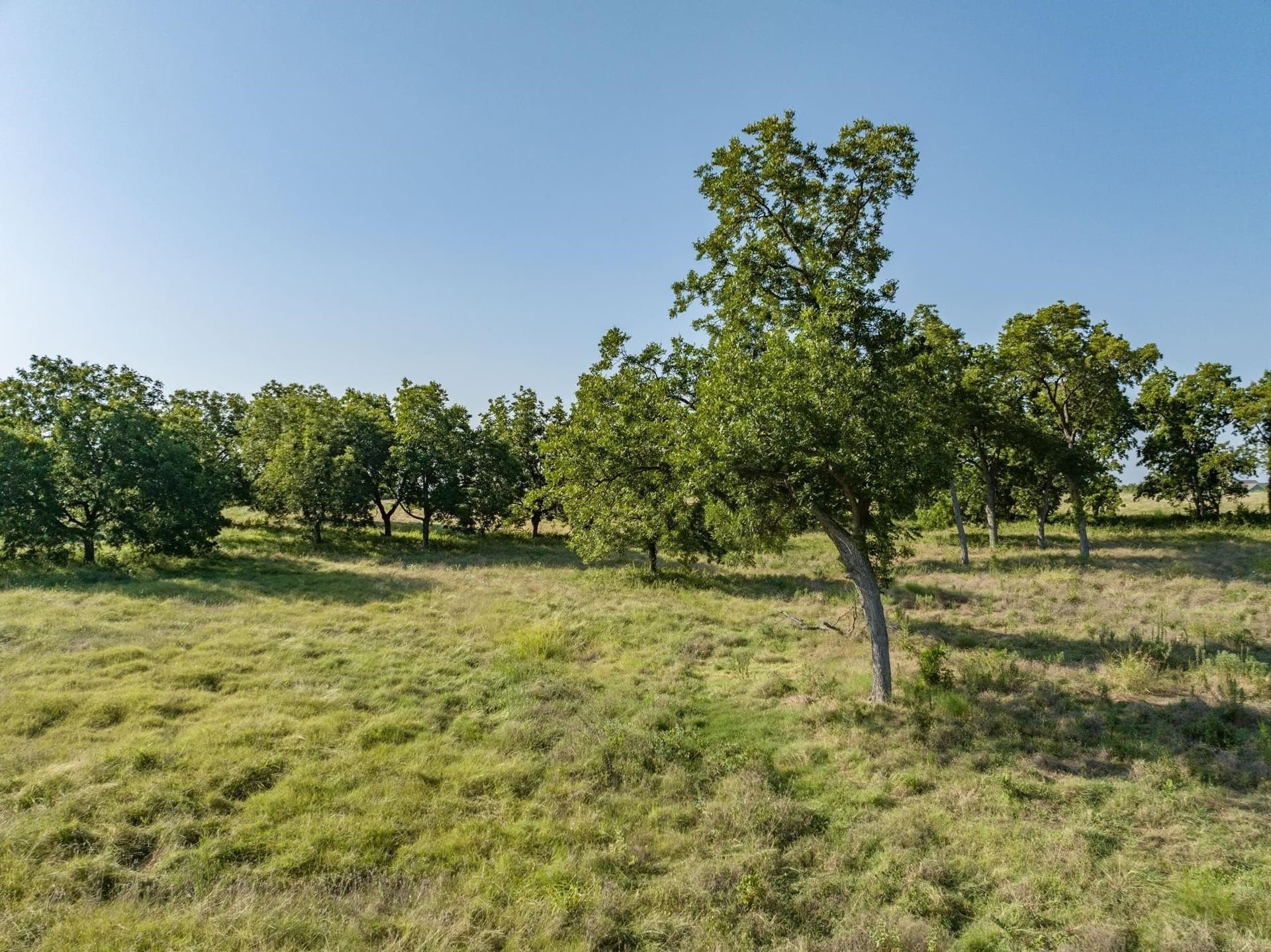 36 acres in Collin County - photo 11