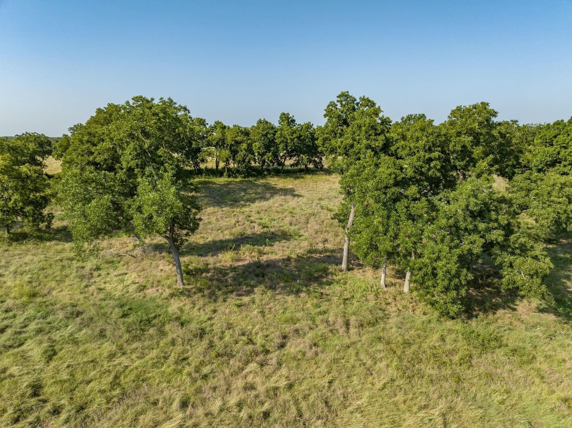 36 acres in Collin County - photo 10