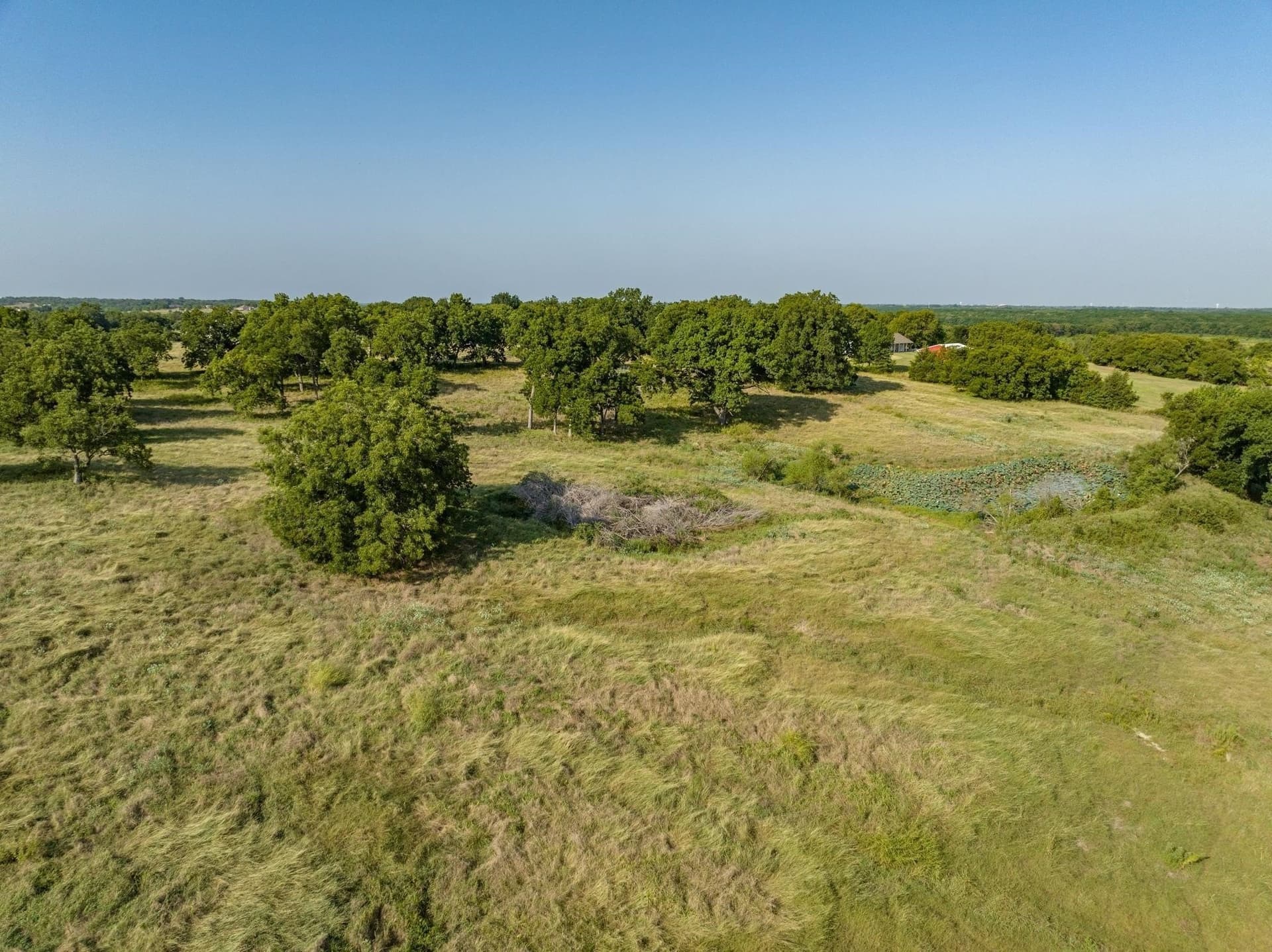 36 acres in Collin County - photo 9