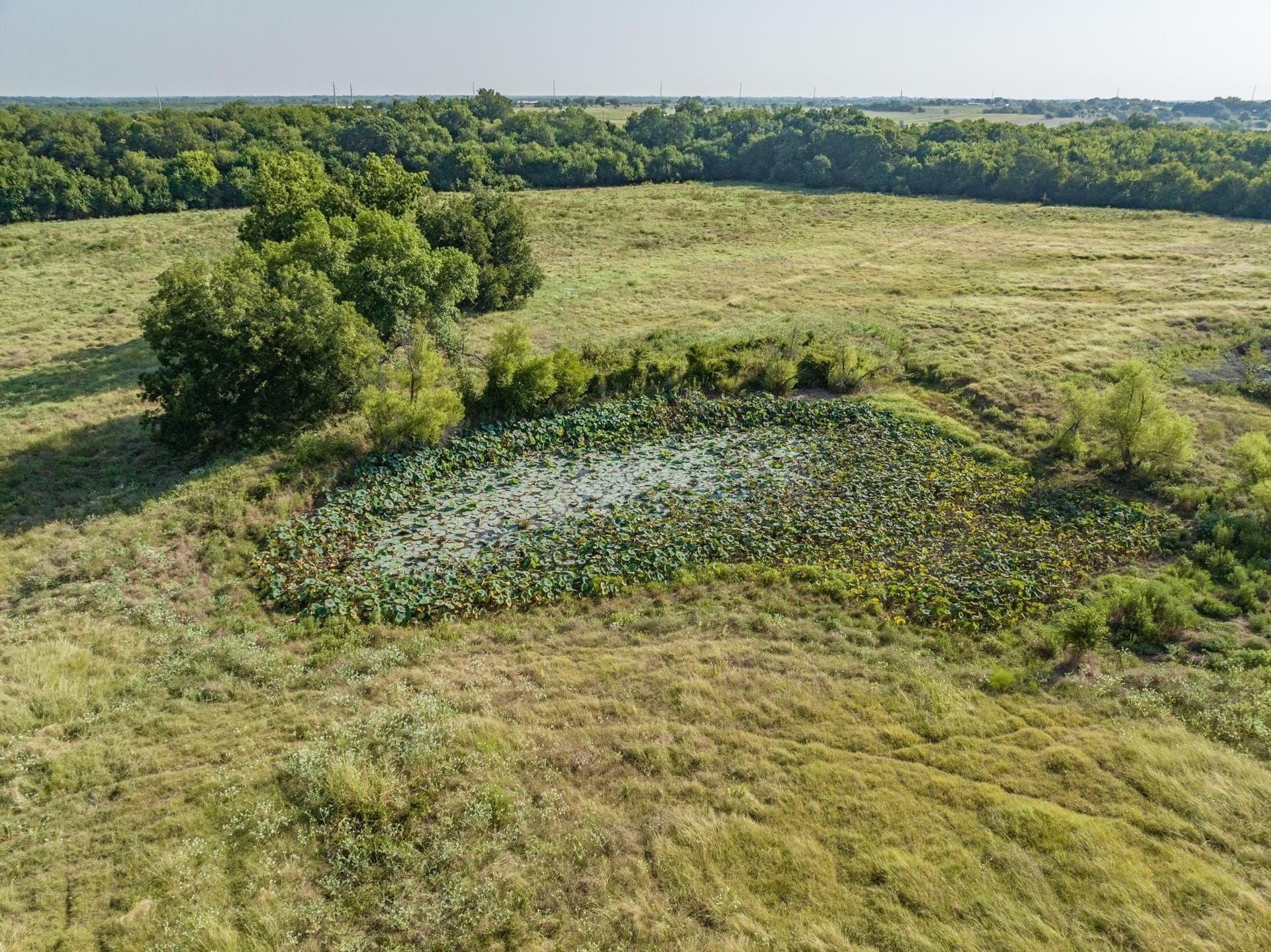 36 acres in Collin County - photo 6