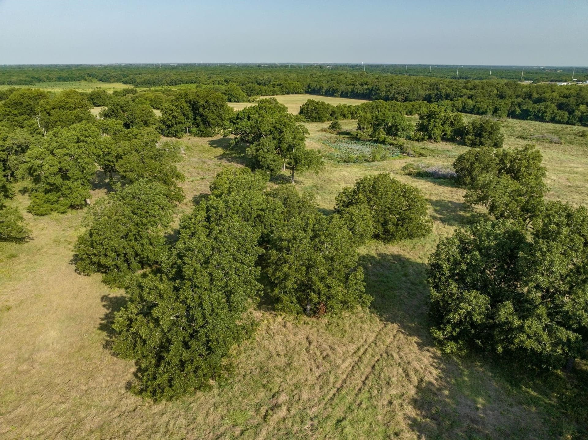 36 acres in Collin County - photo 12