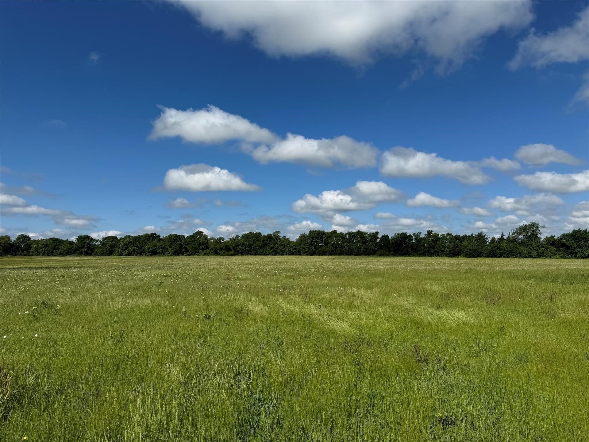 11.18 acres in Grayson County gallery image 4