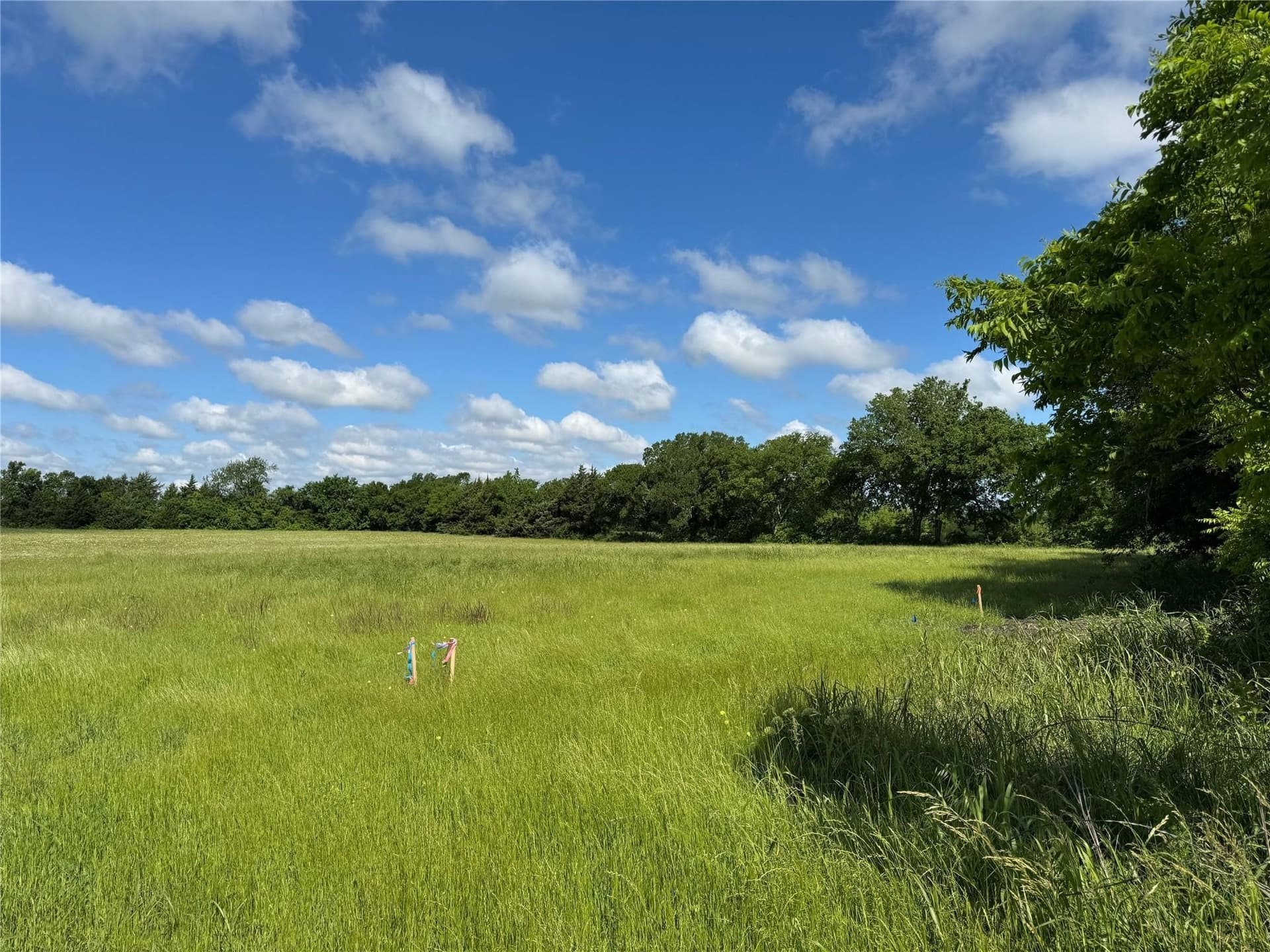 11.18 acres in Grayson County featured view