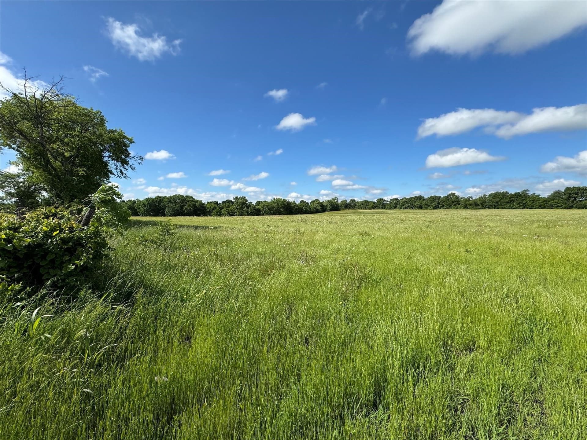 11.18 acres in Grayson County gallery image 2