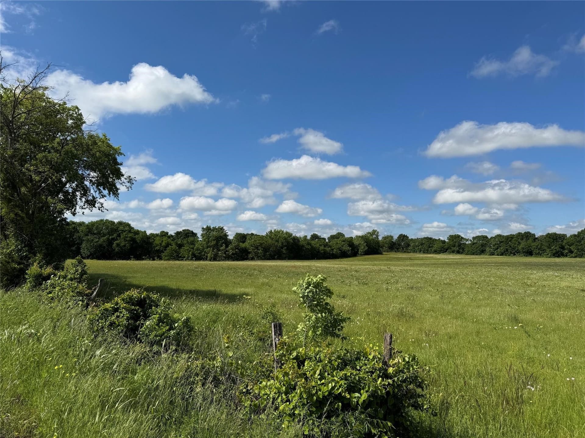11.18 acres in Grayson County gallery image 3