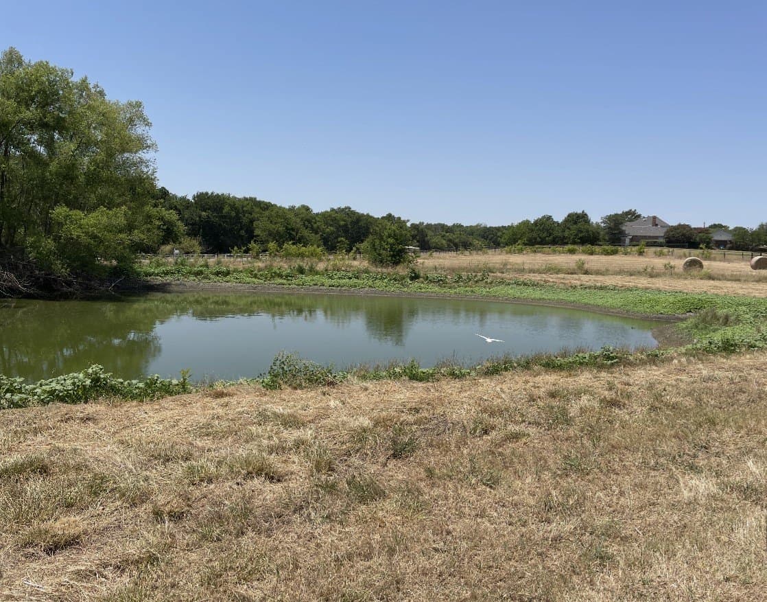 10.07 acres in Collin County - photo 15