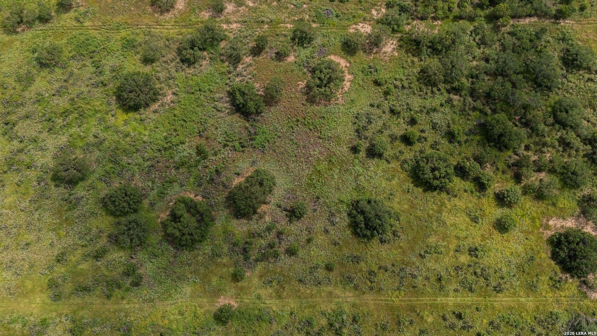 21.78 acres in Atascosa County gallery image 4