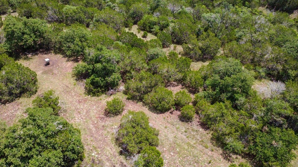12.56 acres in Kendall County gallery image 2