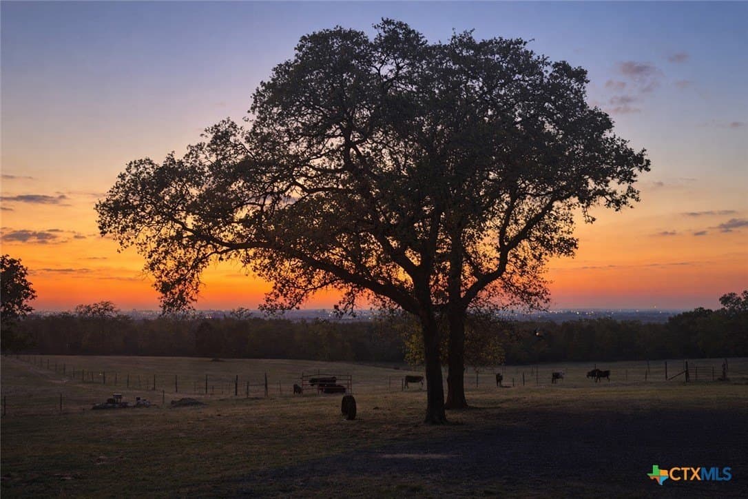 12.81 acres in Guadalupe County - photo 38
