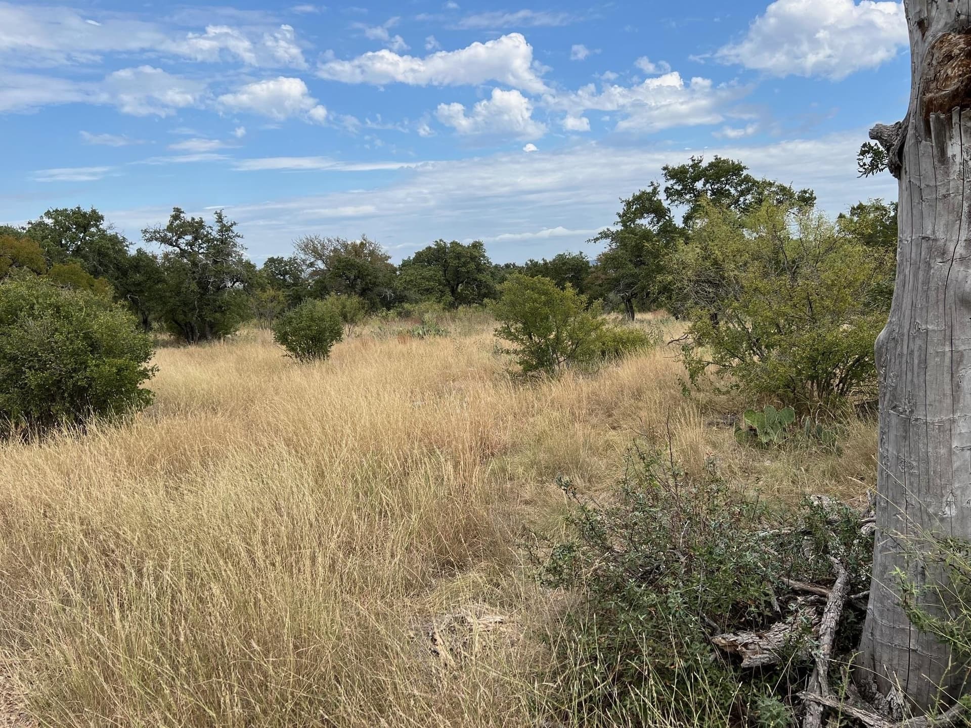 0.26 acres in Llano County - photo 6