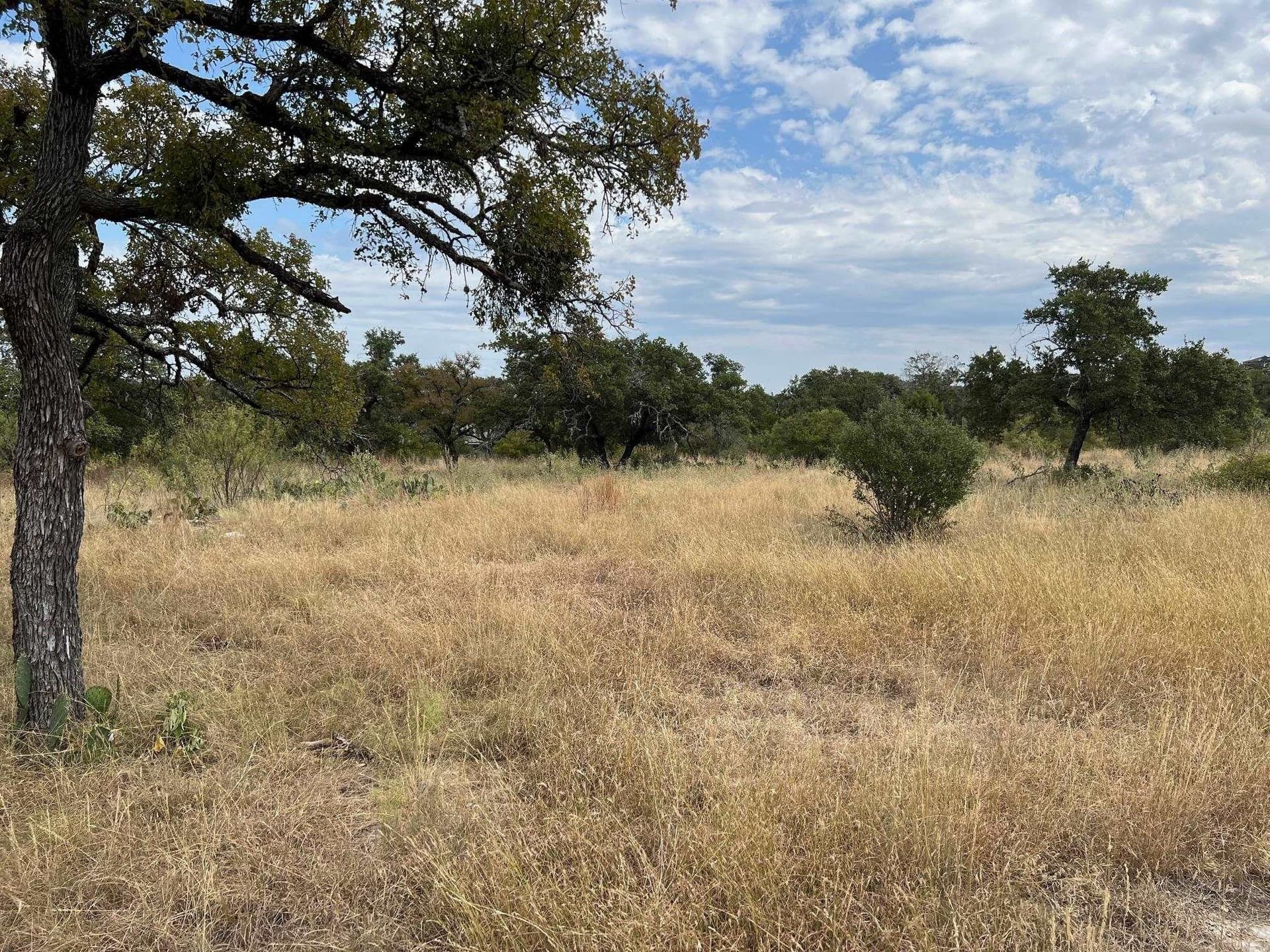 0.26 acres in Llano County - photo 7