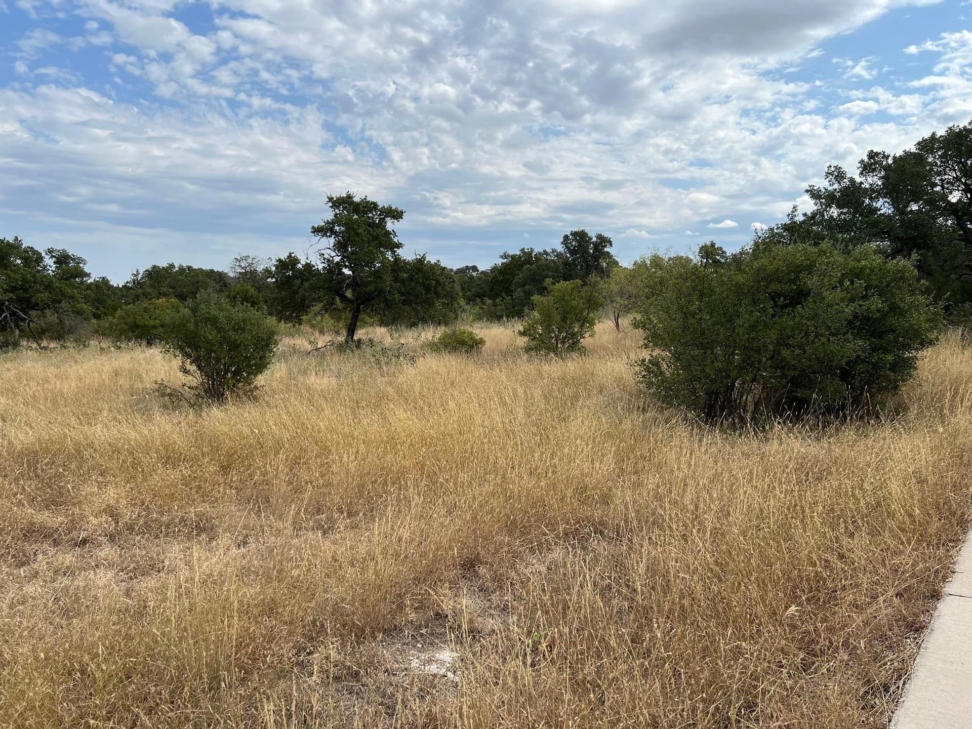 0.26 acres in Llano County - photo 8