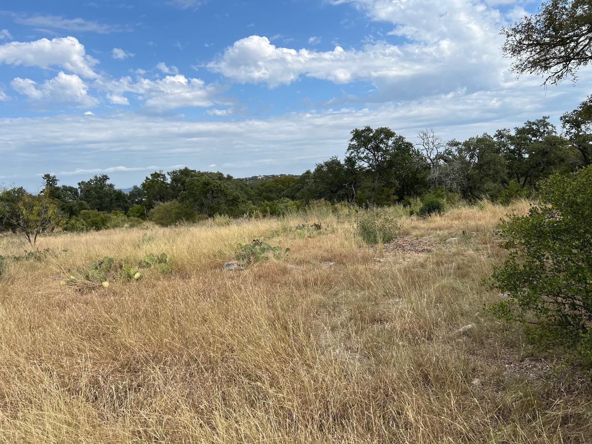 0.26 acres in Llano County - photo 4