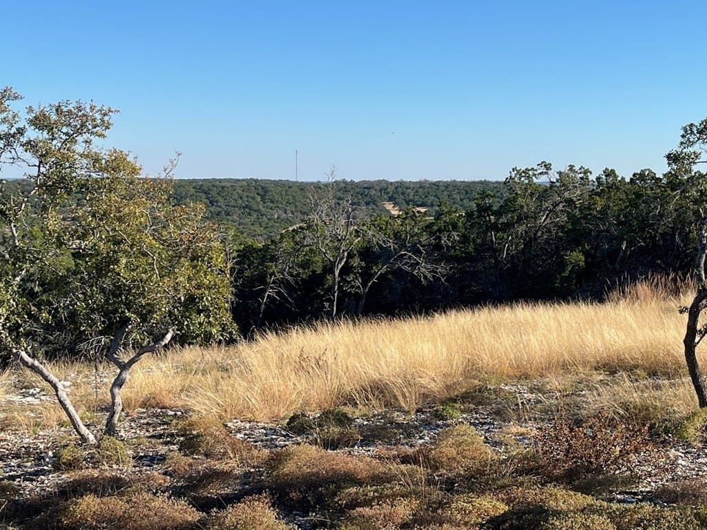 10.02 acres in Gillespie County featured view