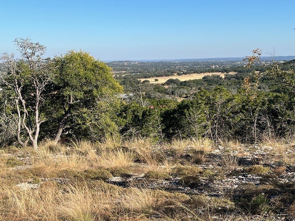 10.02 acres in Gillespie County gallery image 4