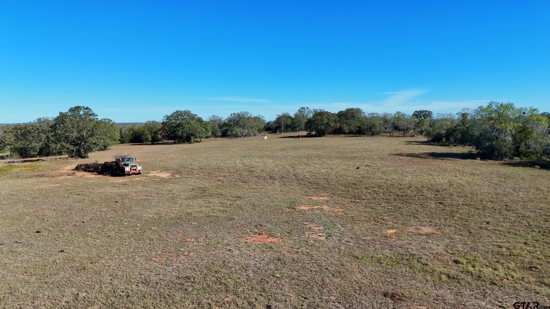 384 acres in Gonzales County gallery image 3