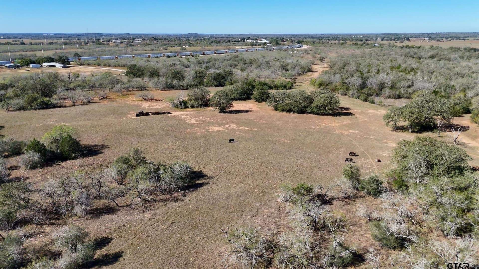 384 acres in Gonzales County gallery image 4