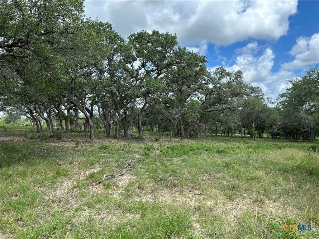 16.36 acres in Goliad County