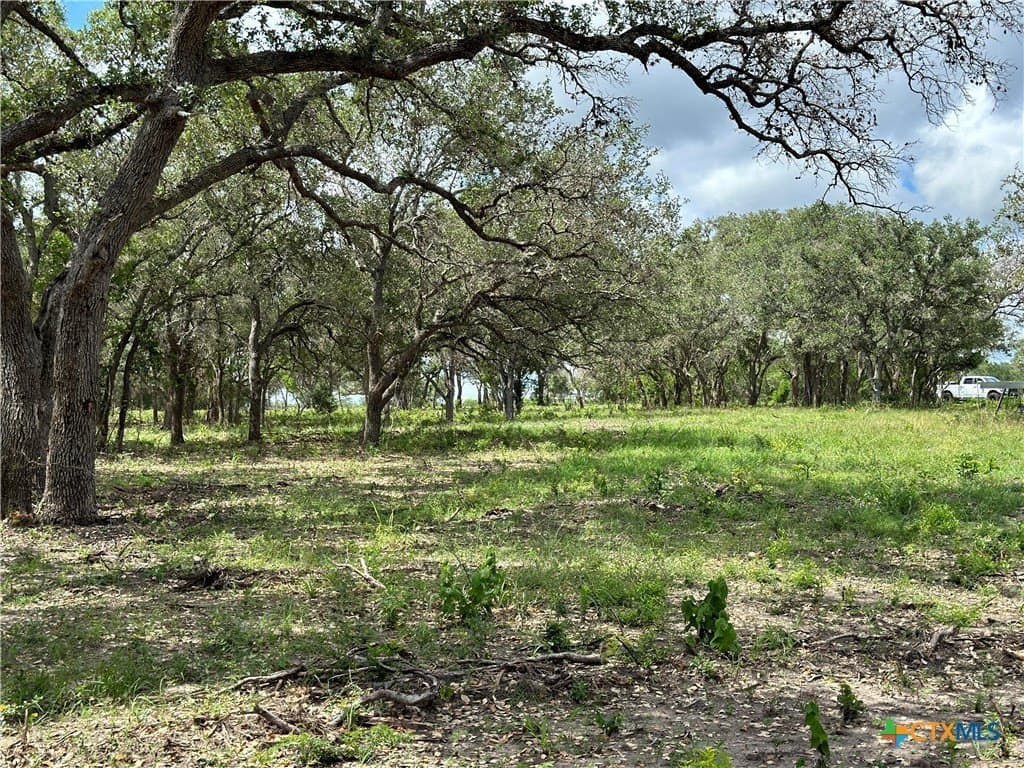 16.36 acres in Goliad County gallery image 2