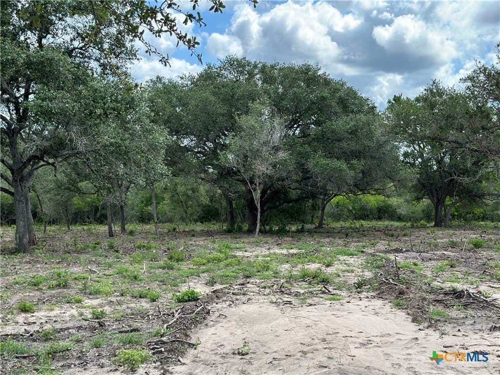 16.36 acres in Goliad County gallery image 4