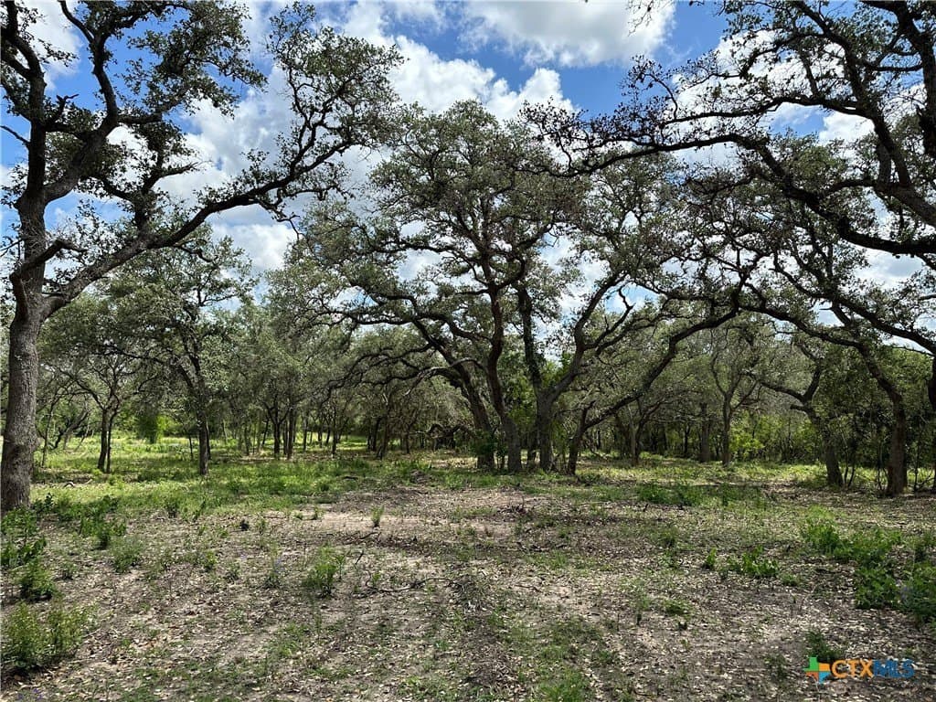 16.36 acres in Goliad County gallery image 3