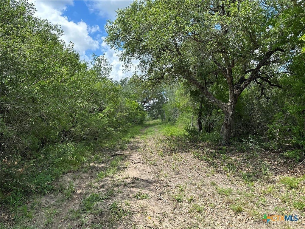 16.36 acres in Goliad County featured view