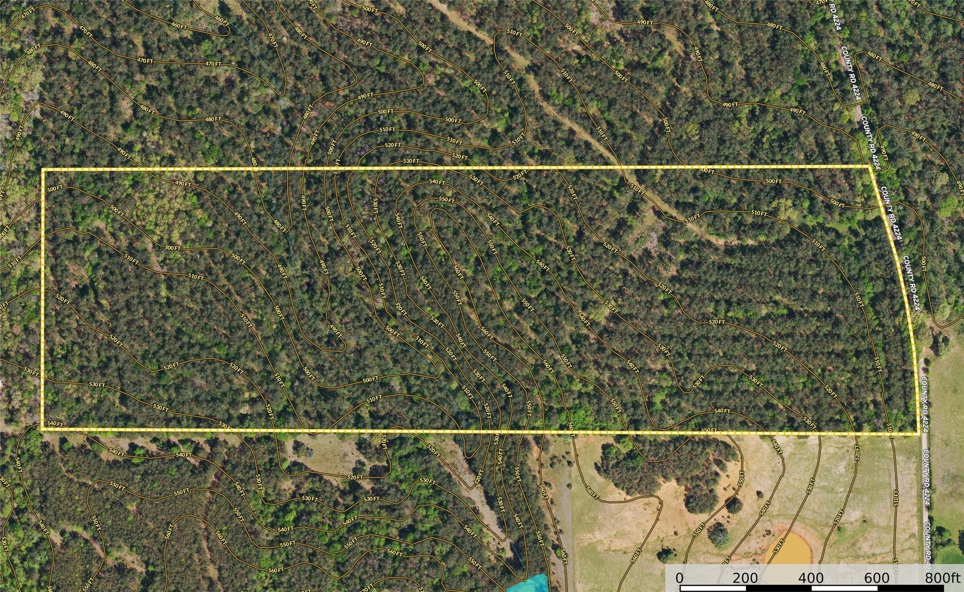 48 acres in Henderson County - photo 11